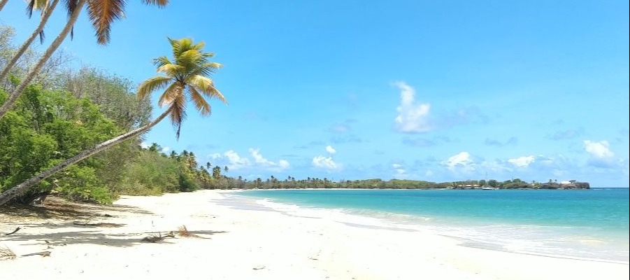 Plages des Salines à Sainte-Anne - Martinique
