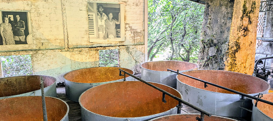ancienne-distillerie-habitation-clement