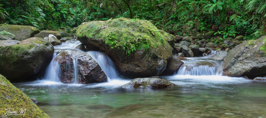 Les gorges de l'Alma - Martinique