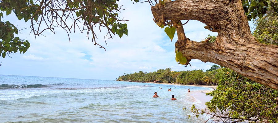 vue-de-anse-desert