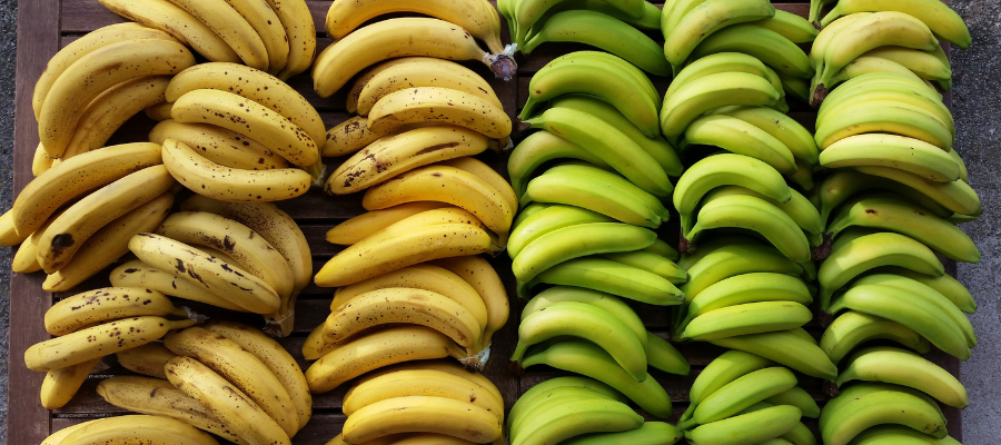 Musée de la Banane martinique 