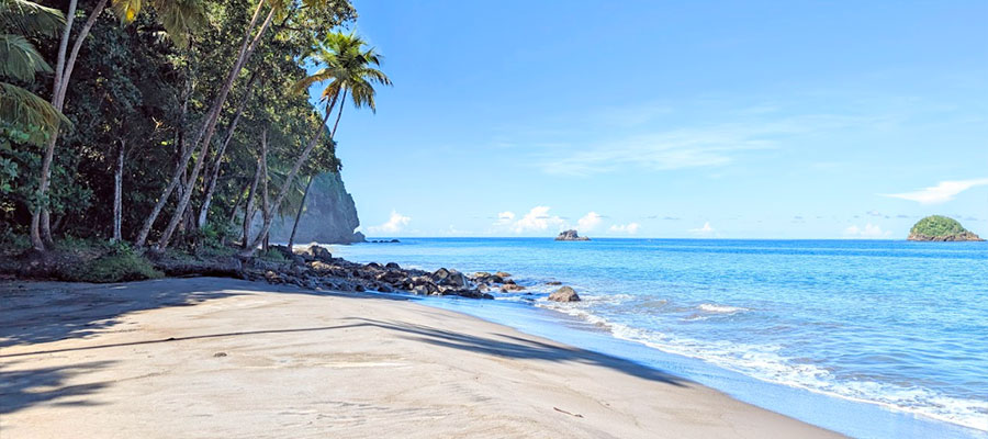 anse-couleuvre-plage-sable-noir