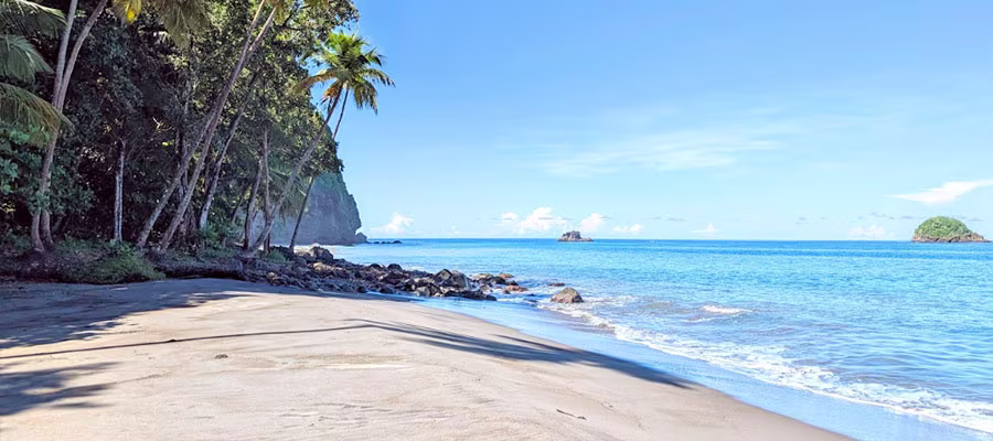 anse-couleuvre-plage-sable-noir