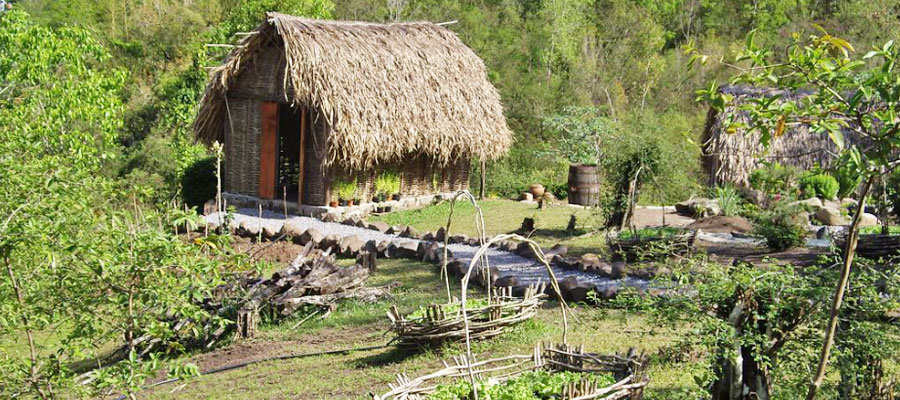 savane-des-esclaves-jardin-medicinal