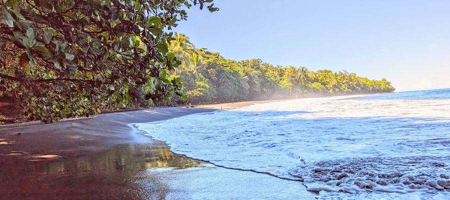 Anse-ceron2