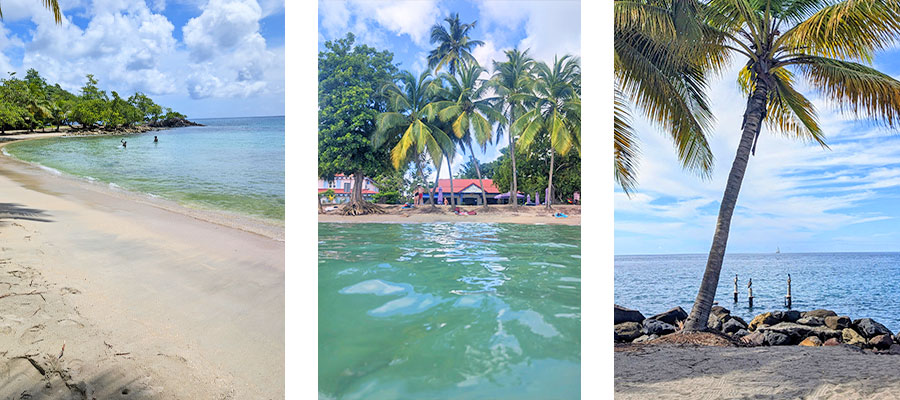 anse-figuier-martinique