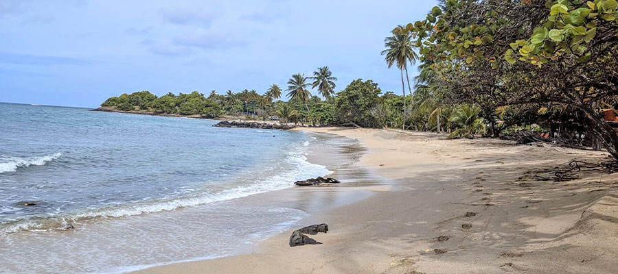 sainte-luce-sentier-littoral