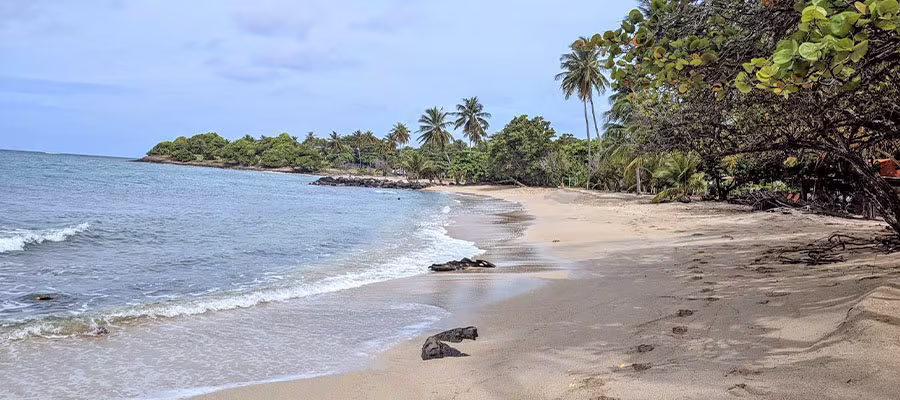sainte-luce-sentier-littoral