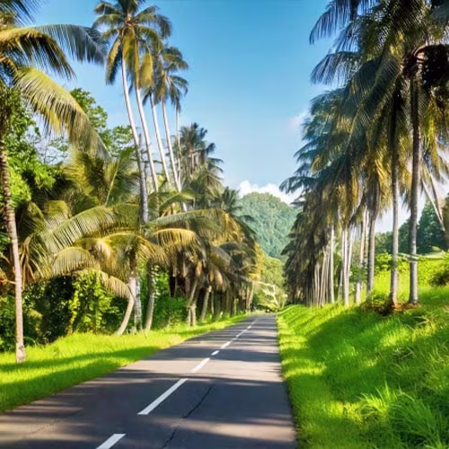 500x500-route-tropical2-min