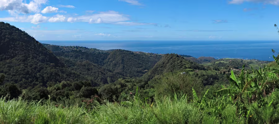 pitons-du-carbet