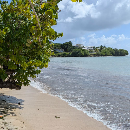 500x500-anse-mabouya