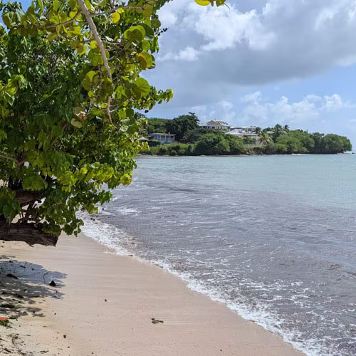 500x500-anse-mabouya