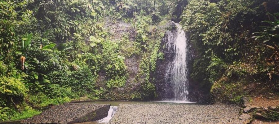 cascade-saut-gendarme-martinique-apres-cascade-didier