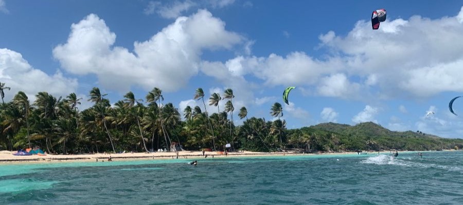 Plage de l'Anse Michel Martinique