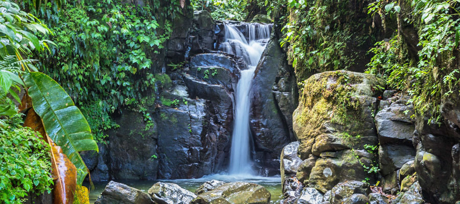 cascade-absalon-ravine-baron