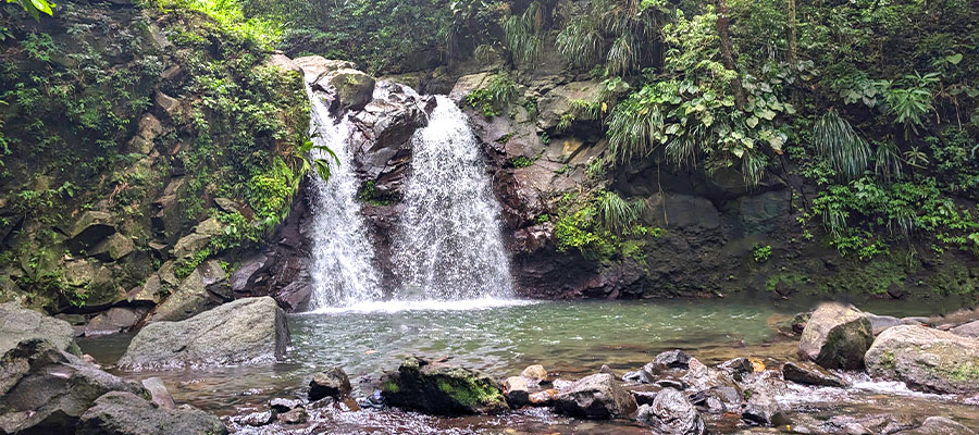 cascades-didier-martinique