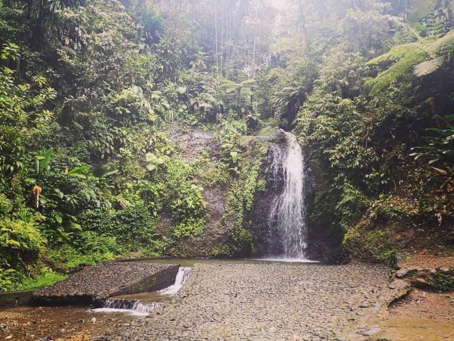 Top 10 cascades Martinique - Saut du Gendarme