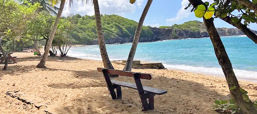 Plage-Anse-a-l-Etang