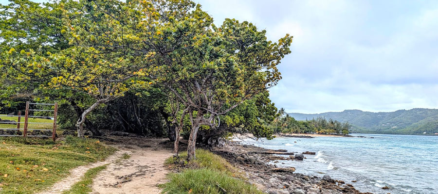 balade-sentier-du-littoral