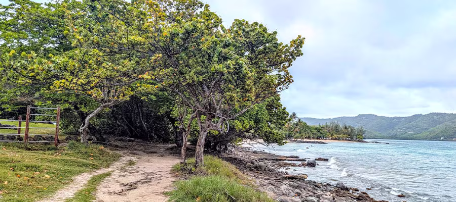 balade-sentier-du-littoral