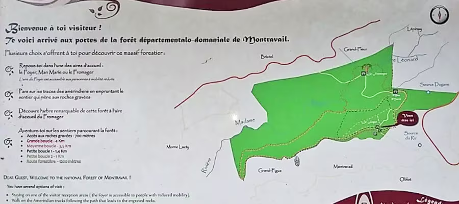 plan-foret-de-montravail