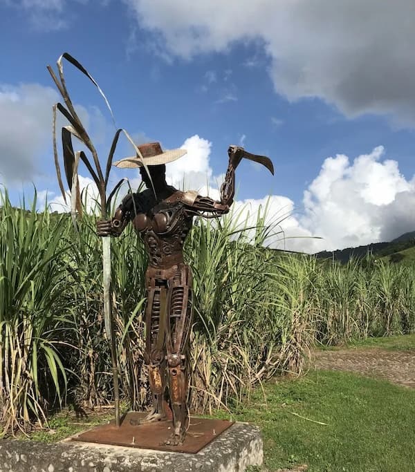 Distillerie Neisson Martinique