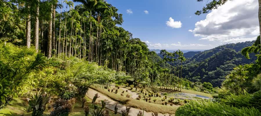 jardin balata