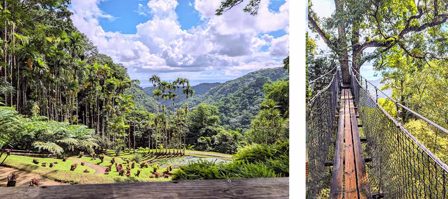 jardins-balata