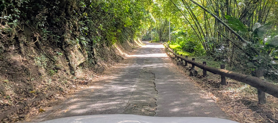etat-des-routes-en-martinique