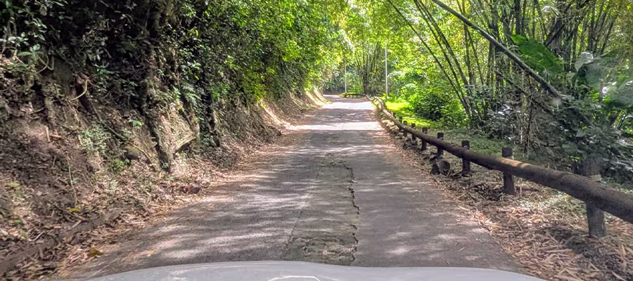 etat-des-routes-en-martinique