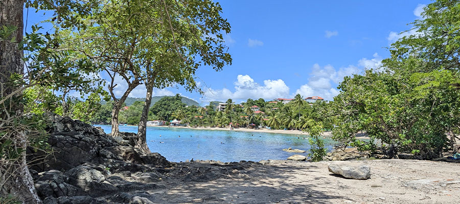 vue-de-l-anse-figuier