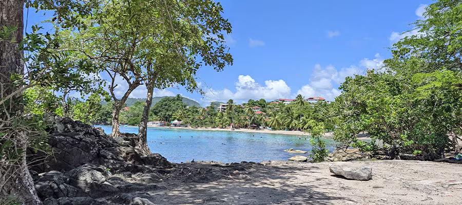 vue-de-l-anse-figuier