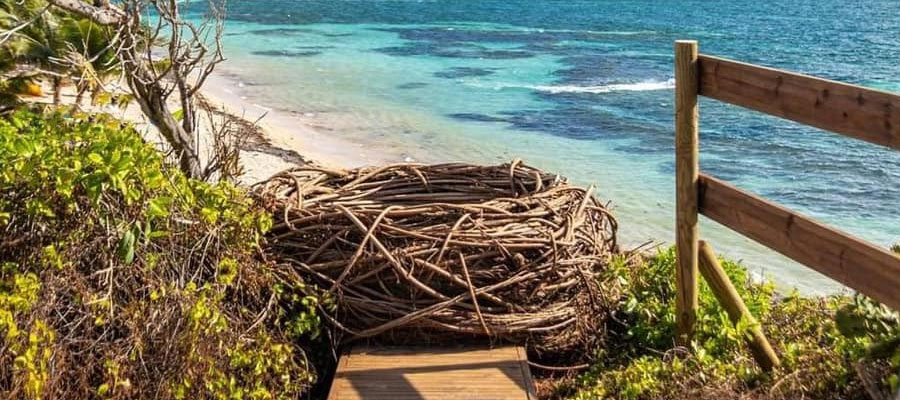 nid-anse-michel