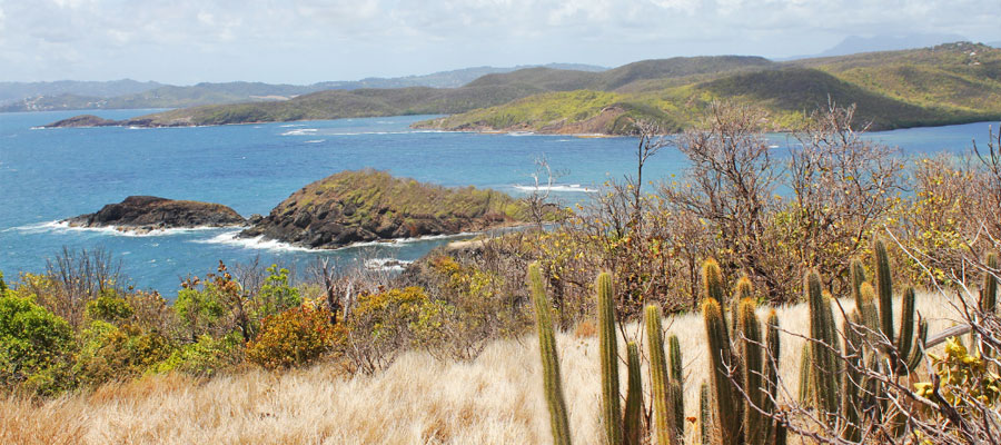 vue-baie-des-tresors