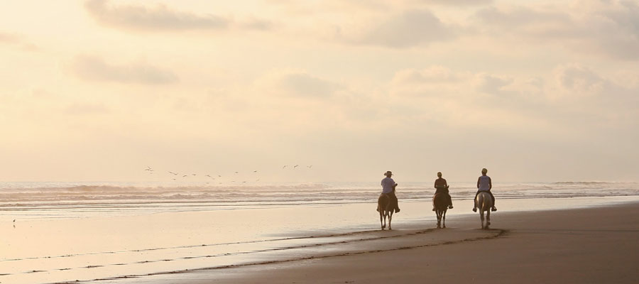 balade-cheval-martinique