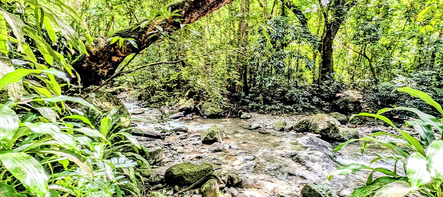cours-d-eau-habitation-ceron