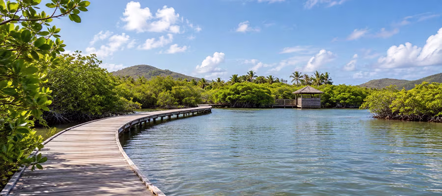 etang-salines