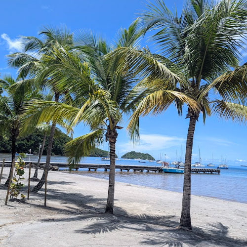 500x500-anse-a-lane