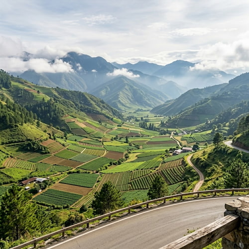 Natural resources and responsible tourism in Constanza
