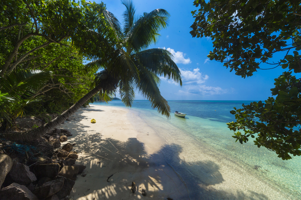 plage de sable, plage de rêve en République dominicaine