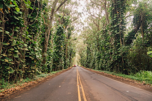 Jarabacoa's scenic routes