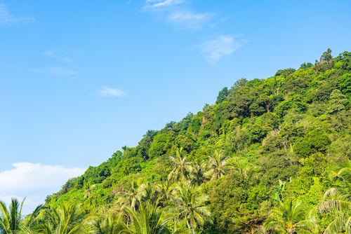 Jarabacoa en voiture montagnes, République dominicaine