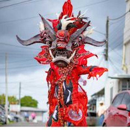 The characters of the Dominican carnival