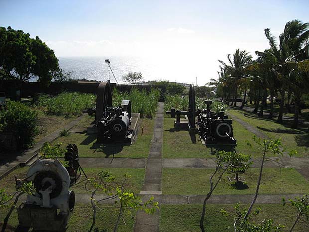 reunion musee-stella-matutina