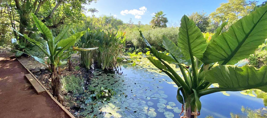 jardin-d-eden-saint-gilles