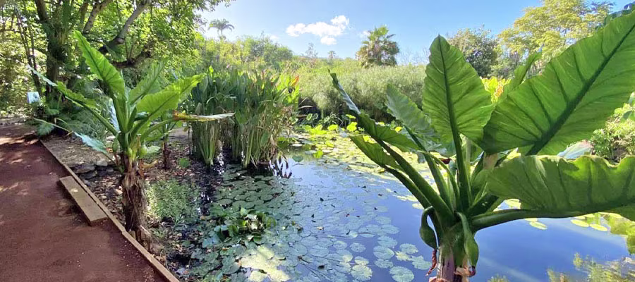 jardin-d-eden-saint-gilles