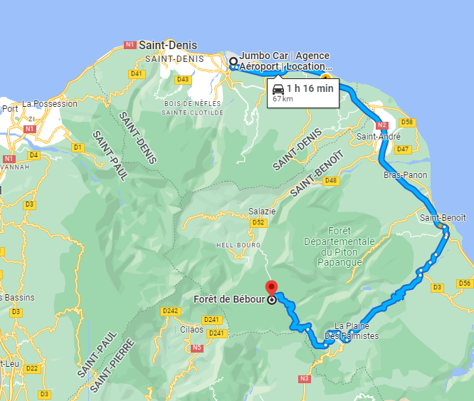 randonnée dans la foret de Bébour- réunion