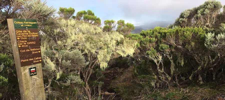 Coteau Kerveguen forêt de bébour