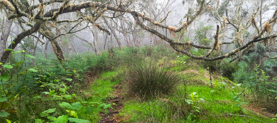 sentier-tevelave