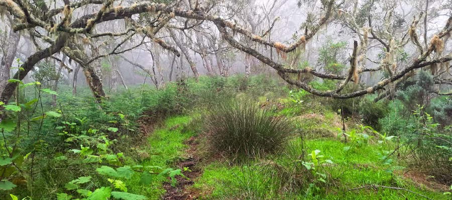 sentier-tevelave